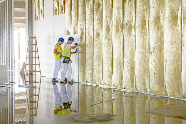 Best Residential Insulation in Tempe, AZ